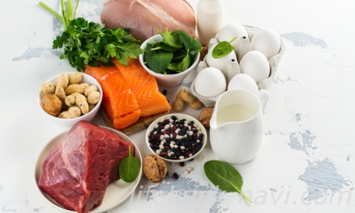 基礎代謝アップ 食べ物 タンパク質