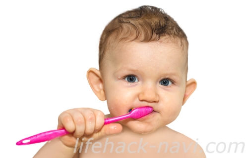 赤ちゃん 歯磨き 時期